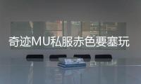 奇迹MU私服赤色要塞玩家分享组队心得与配合技巧